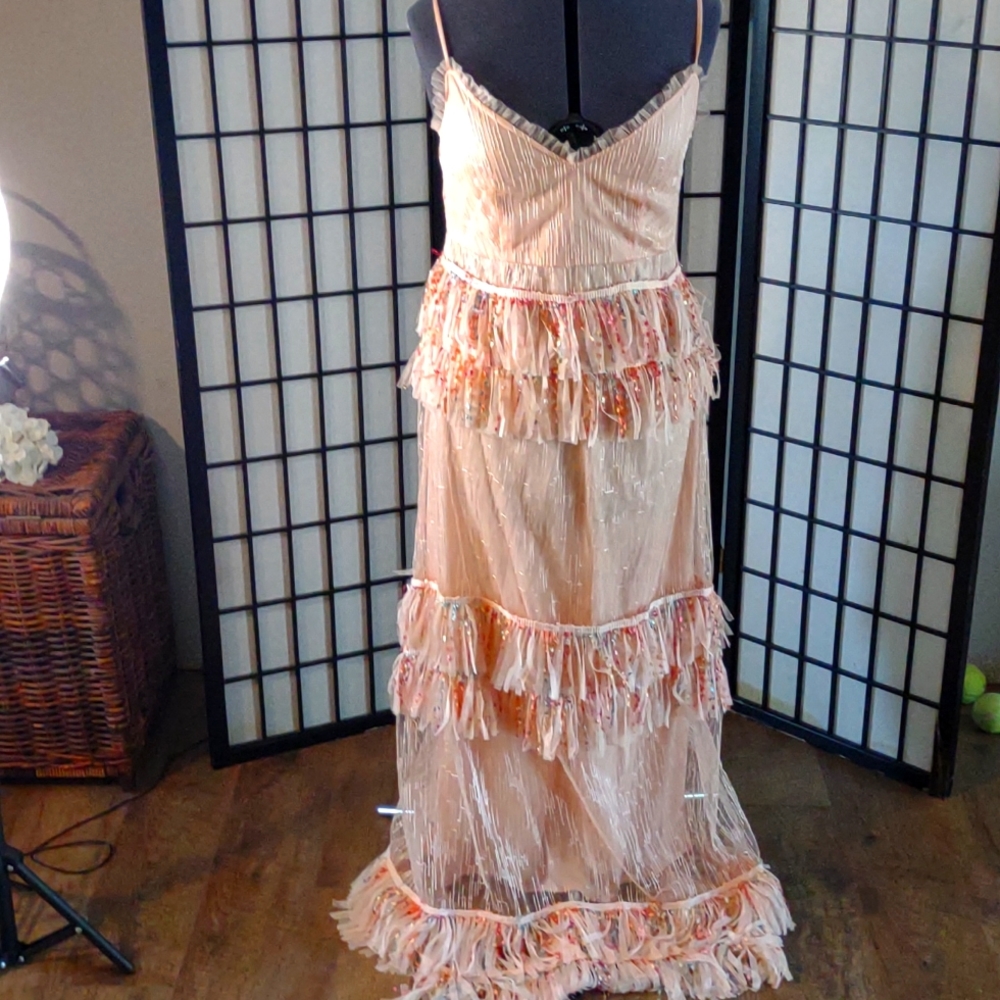 Hesperus Dress NWT 💗